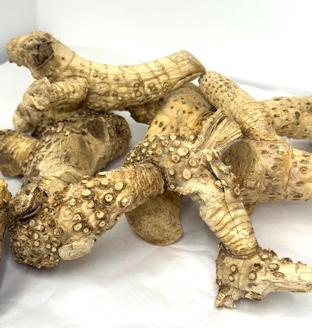 Bamboo Root For Hamster Cages, Reptile Tank Decor