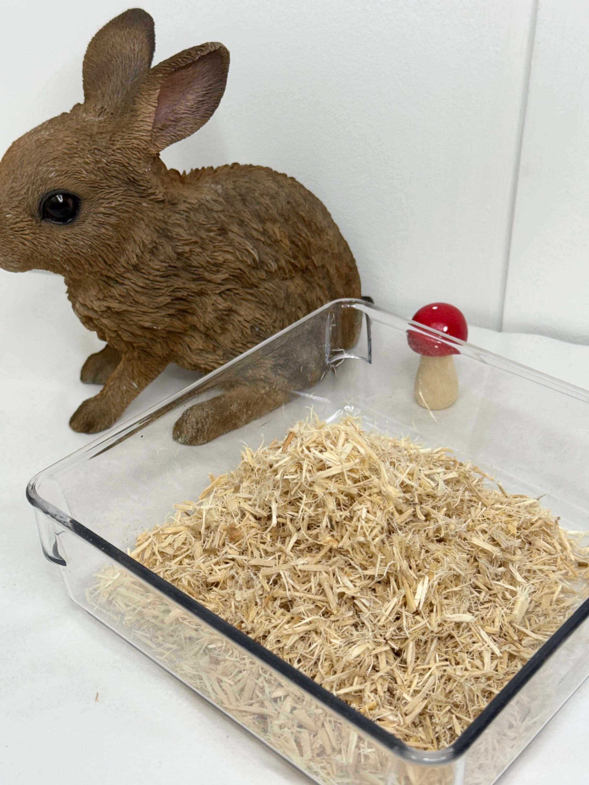 Aspen Shavings Hamster Substrate: Natural Digging Material