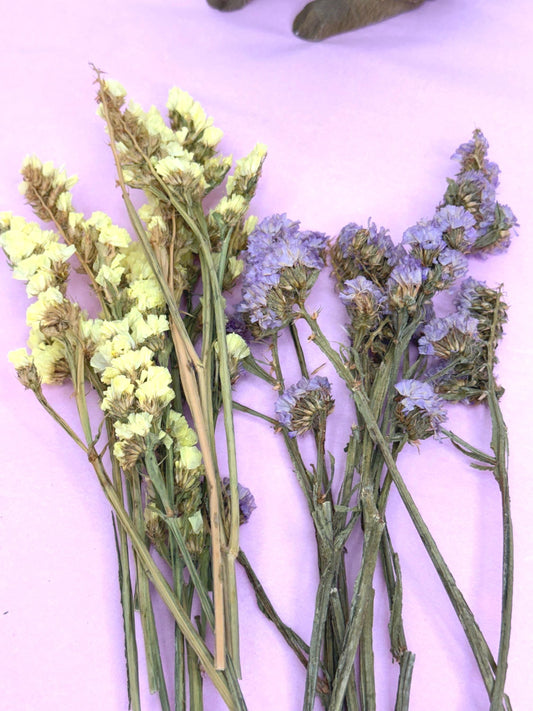 Dried Statice Flowers For Small Animals, Hamster Forage bunch of 10g