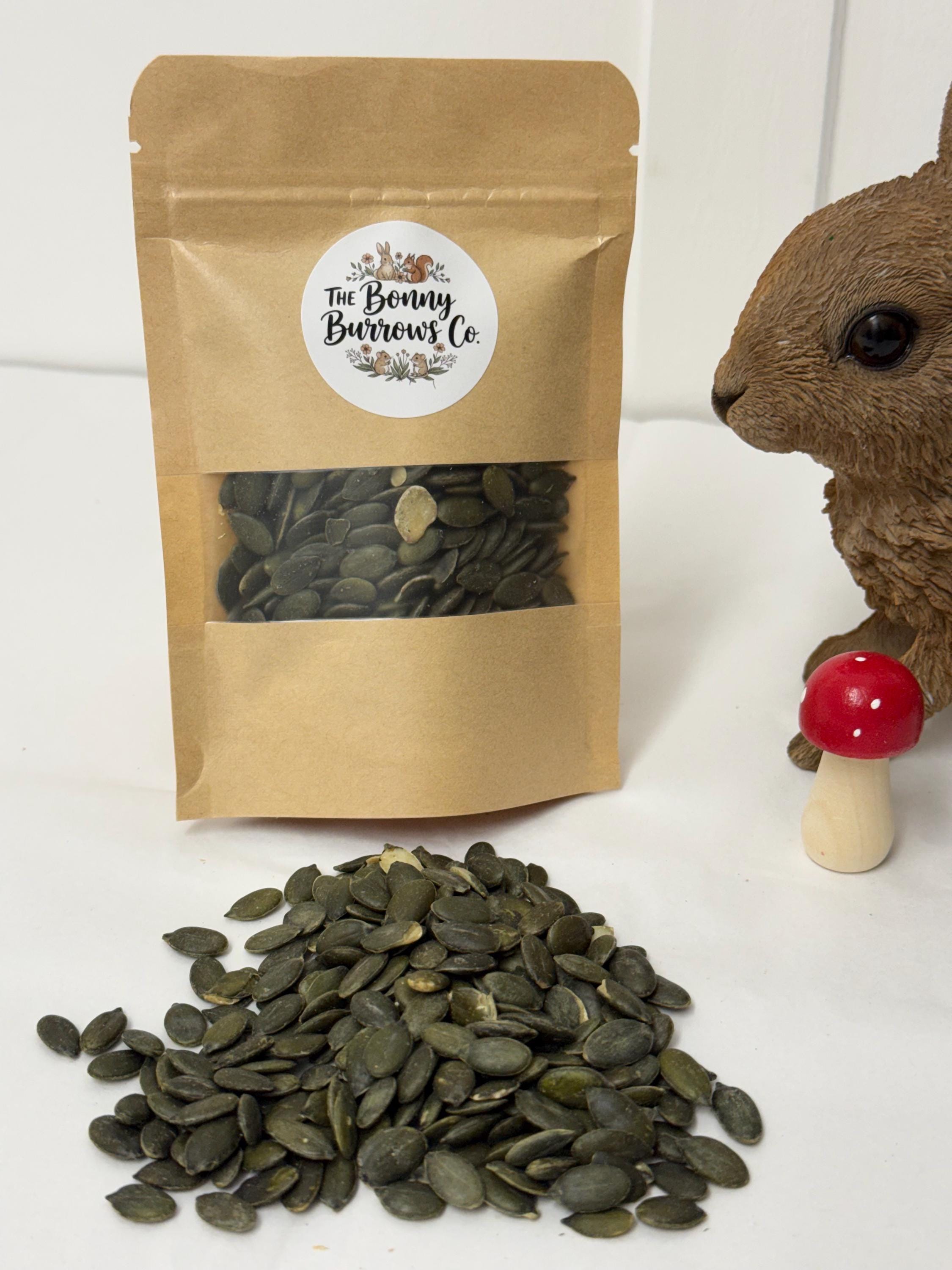 Dried Pumpkin Seeds, for Hamsters, Rats, Birds