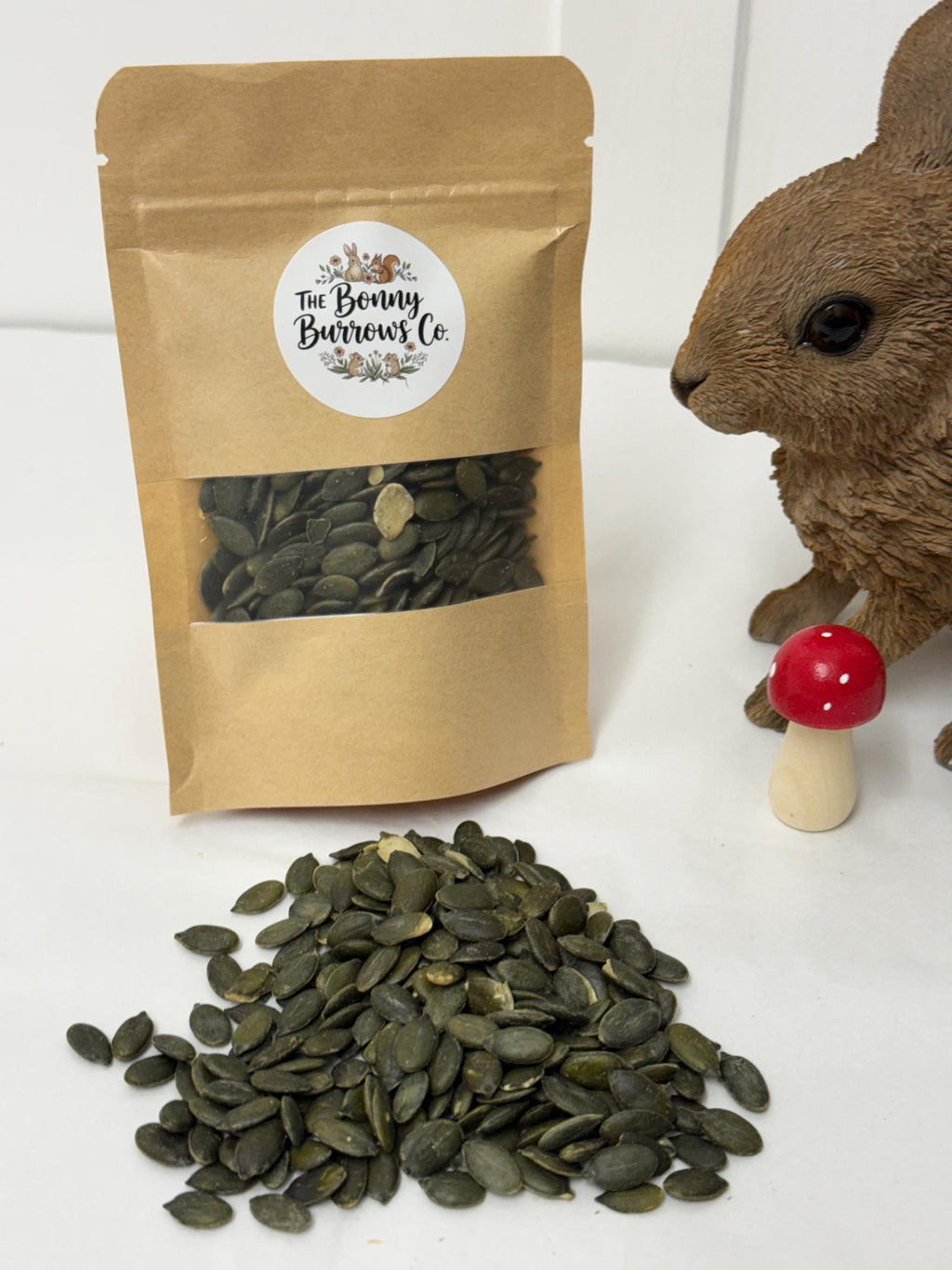 Dried Pumpkin Seeds, for Hamsters, Rats, Birds