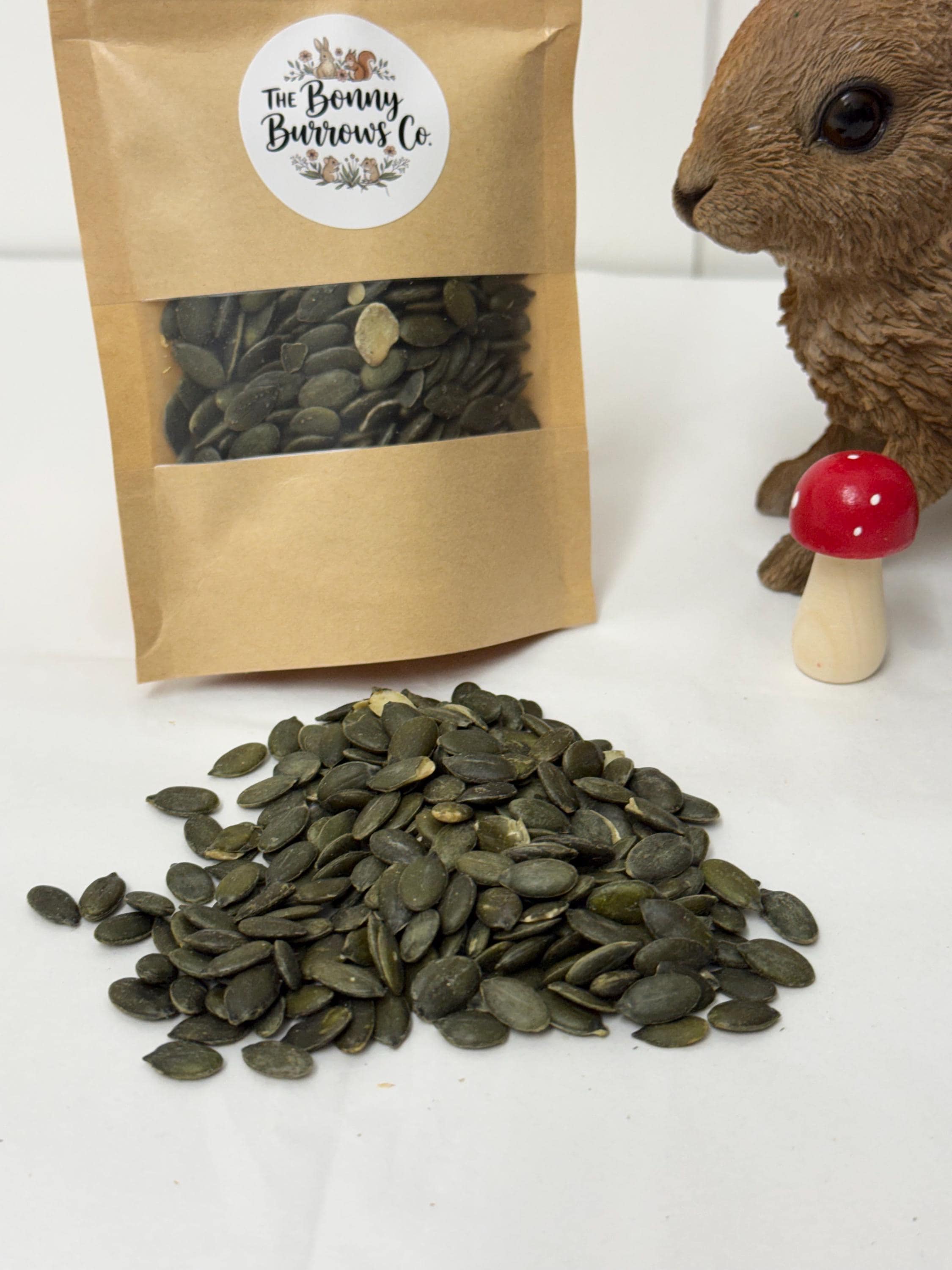 Dried Pumpkin Seeds, for Hamsters, Rats, Birds