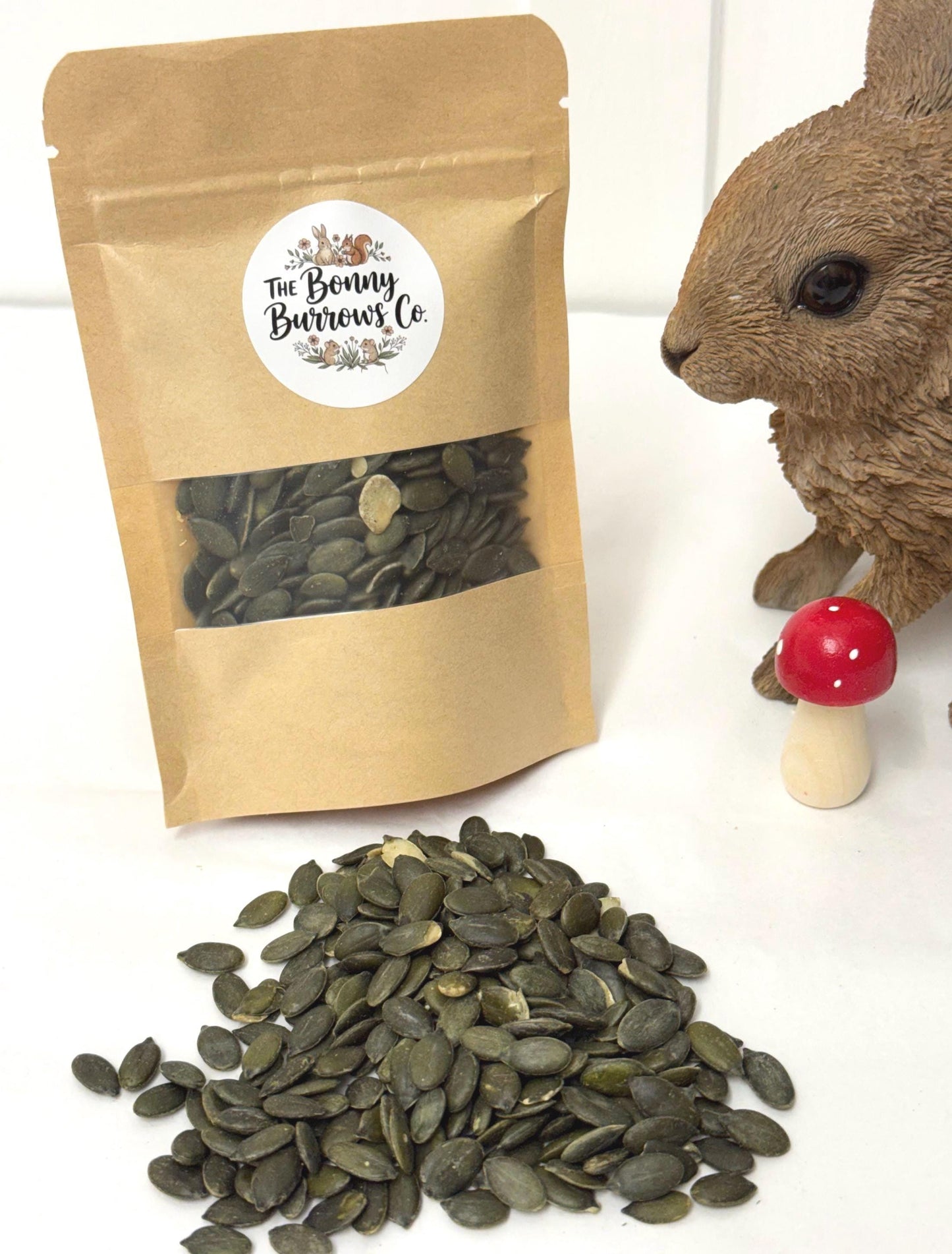 Dried Pumpkin Seeds, for Hamsters, Rats, Birds