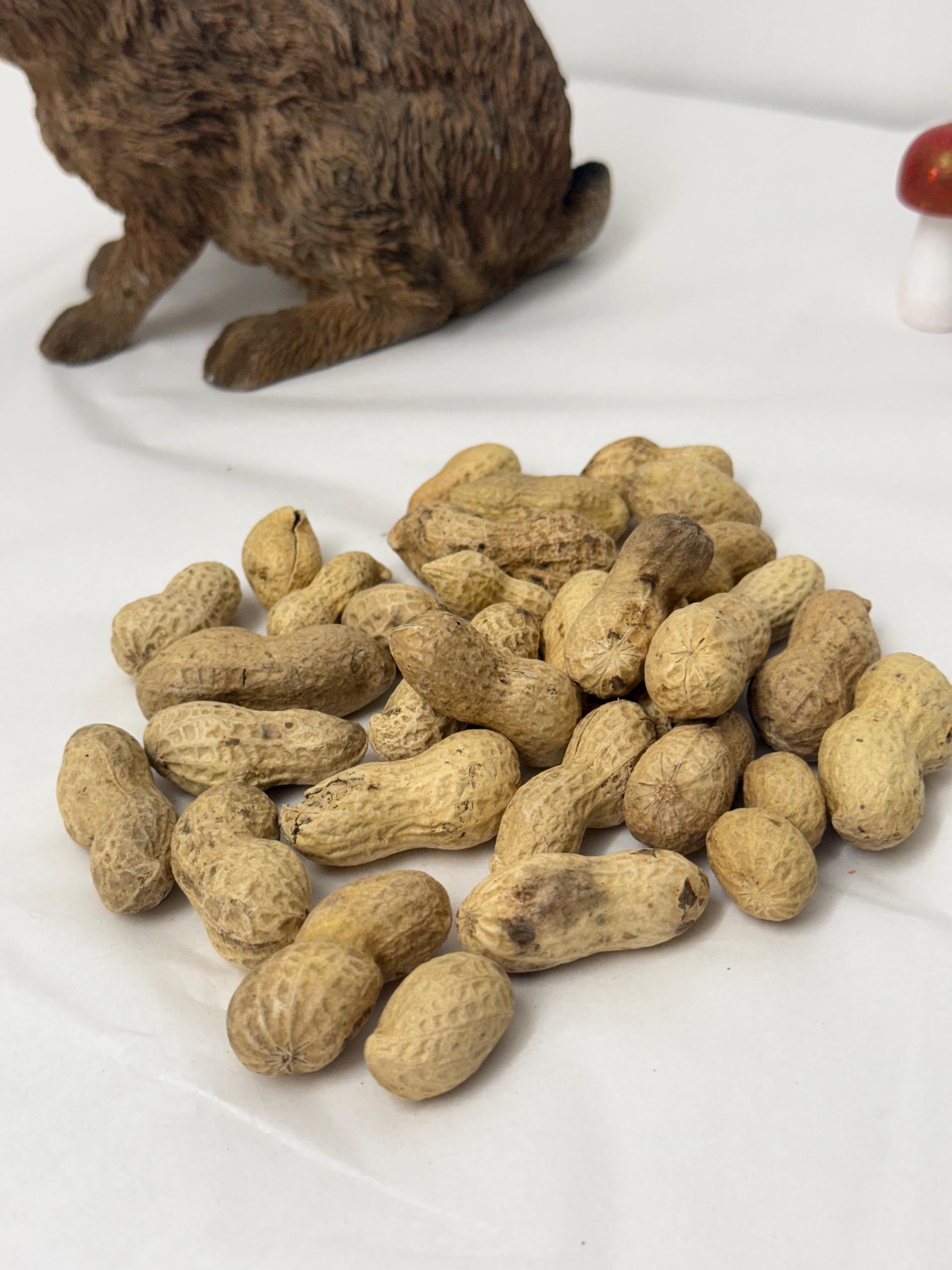 Whole Peanuts in Shell Natural Enrichment For Hamsters & Gerbils