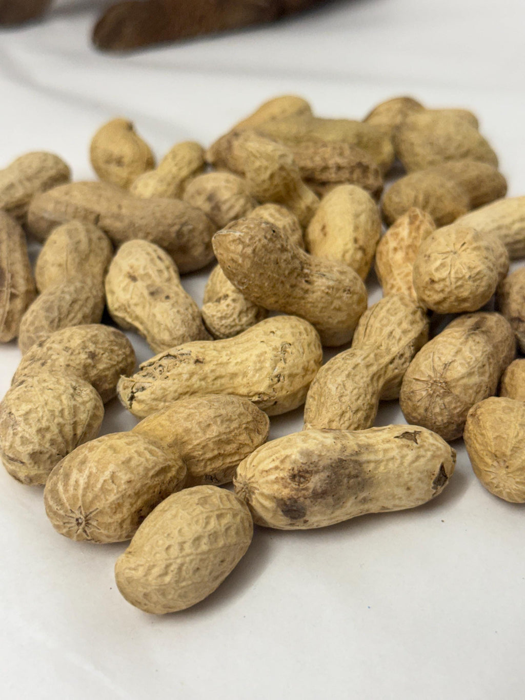Whole Peanuts in Shell Natural Enrichment For Hamsters & Gerbils