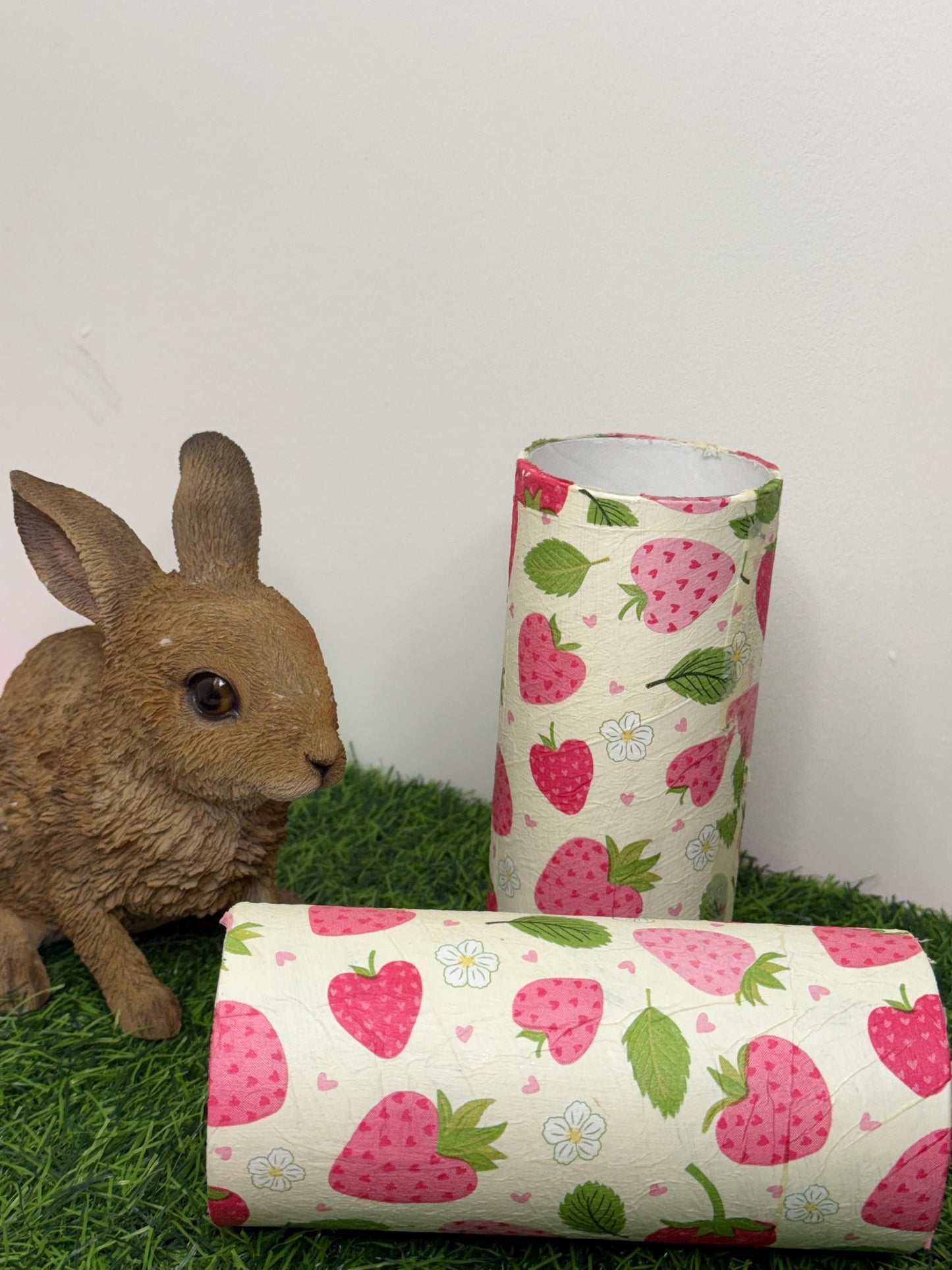 Cardboard Tube For Hamsters Fruity Spring Decor