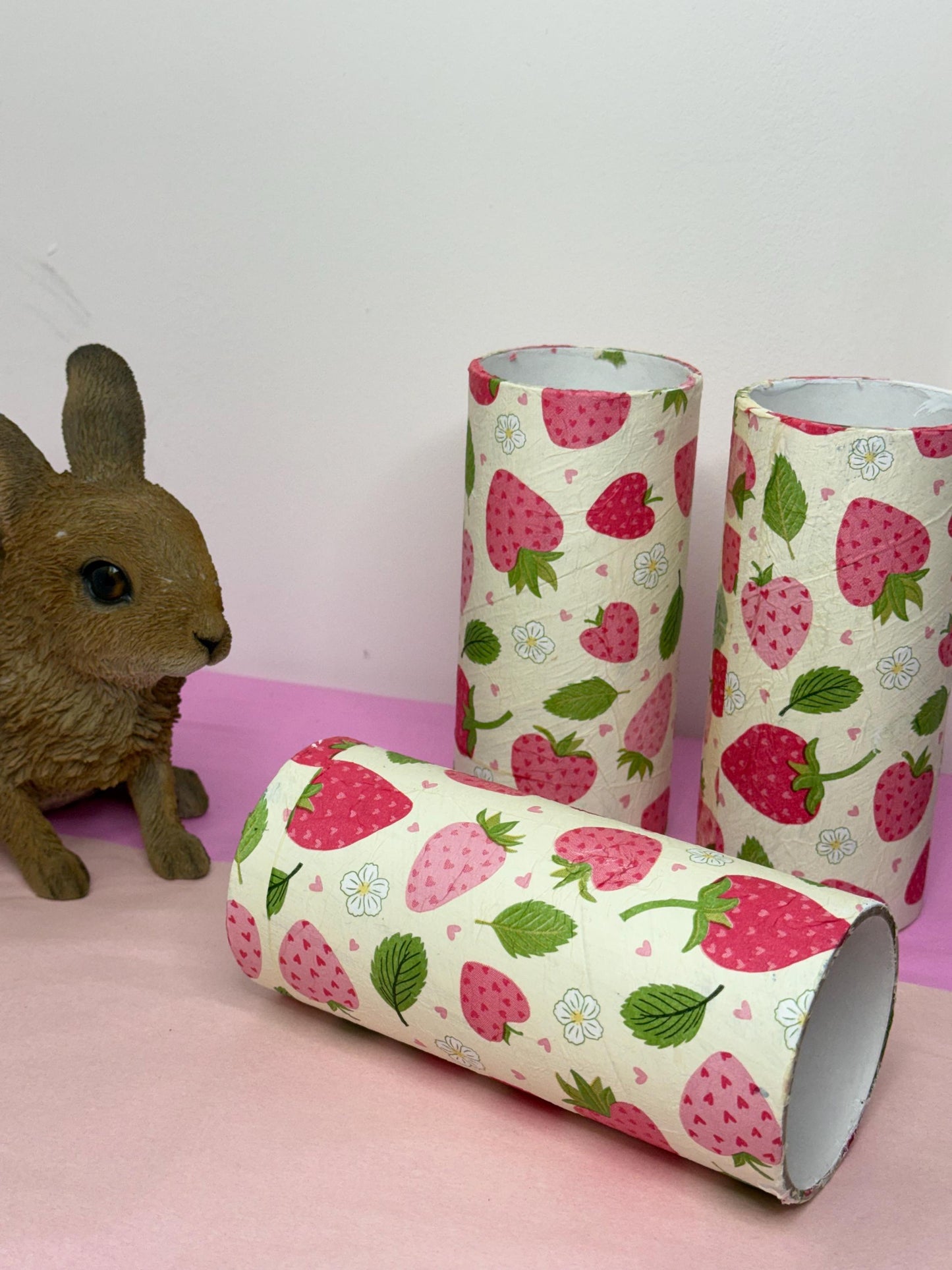 Cardboard Tube For Hamsters Fruity Spring Decor