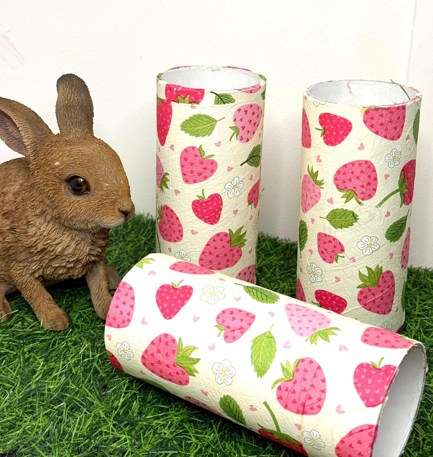 Cardboard Tube For Hamsters Fruity Spring Decor