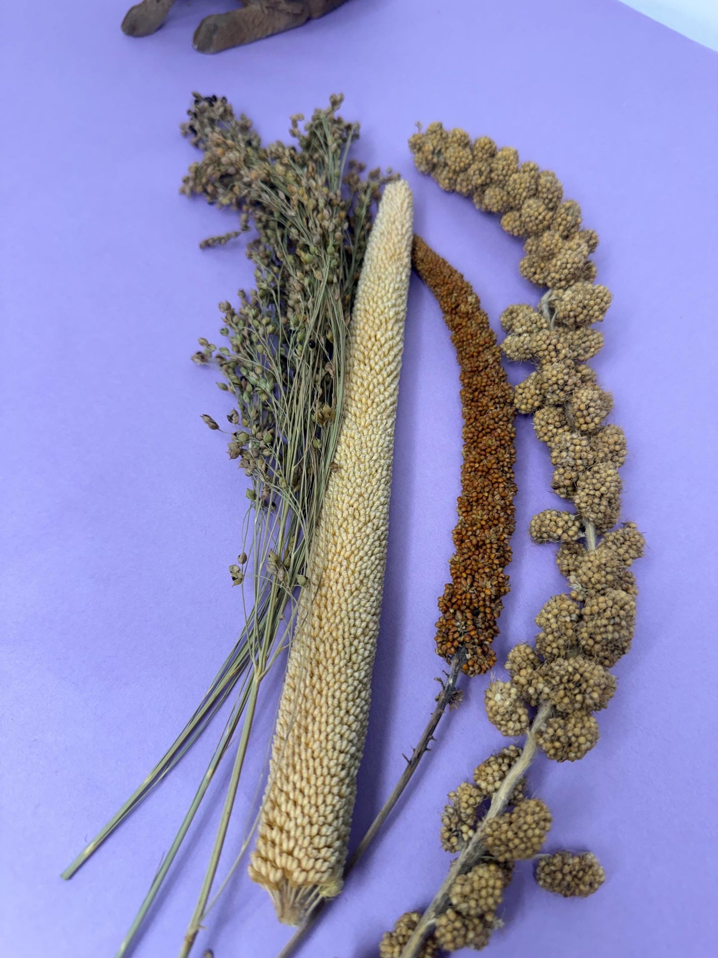 Millet Medley Sprays Hamster & Gerbil enrichment